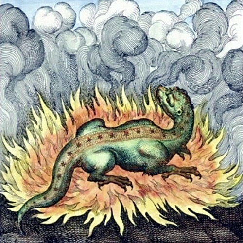 La salamandra que vive en el fuego, como la piedra.
