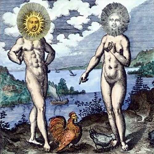 Gallo y gallina.