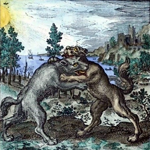 Lobo y perro mordiéndose.