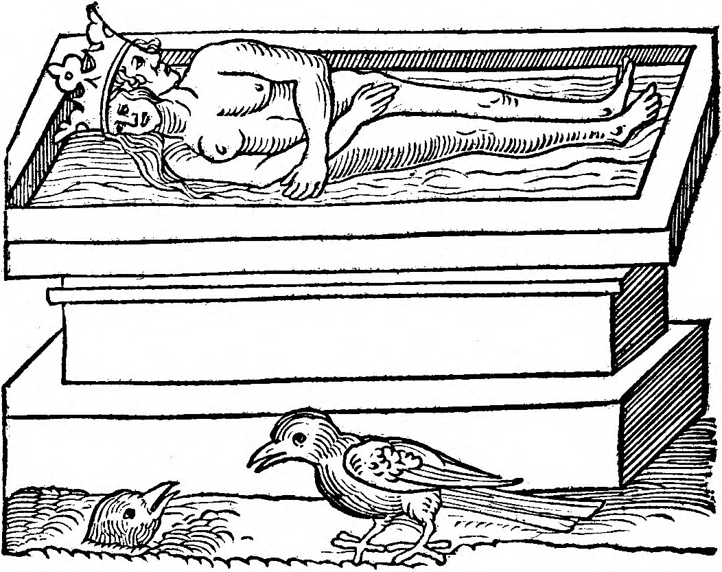 El cuerpo bicéfalo en el sepulcro con dos aves al pie — una hundida en la tierra, otra en pie: el retorno del alma.