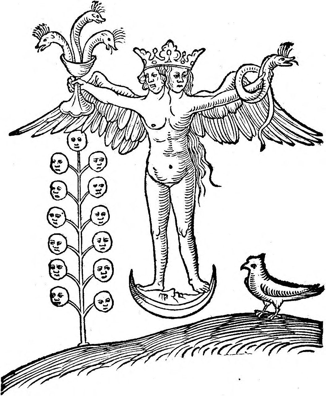 El hermafrodita alado y coronado en pie sobre la luna creciente, con la copa de las tres serpientes, el árbol de las caras lunares y el ave; la piedra blanca.