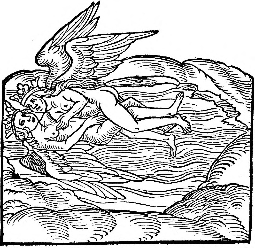 La segunda coniunctio: la pareja alada unida en las aguas.